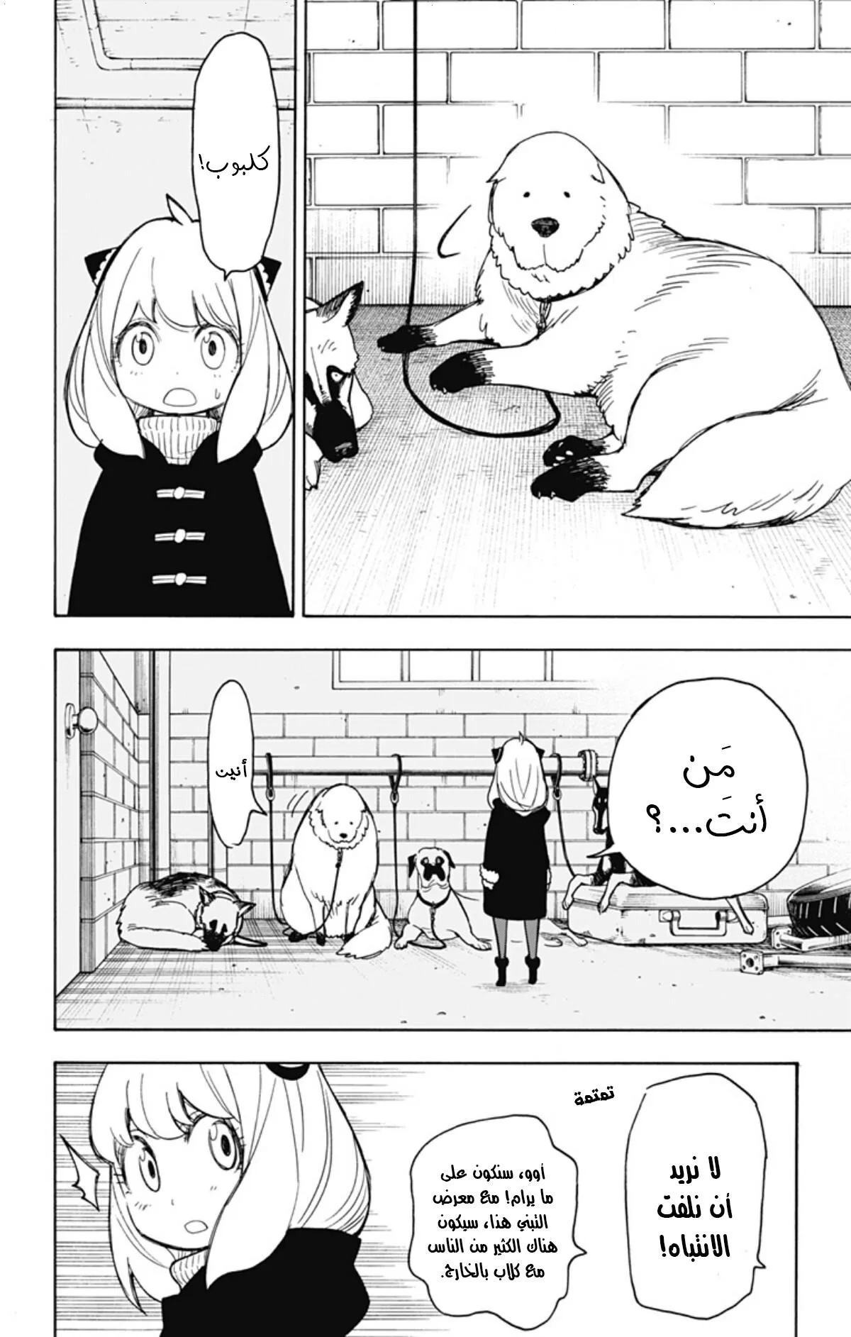 Read SPY×FAMILY AR Manga Online