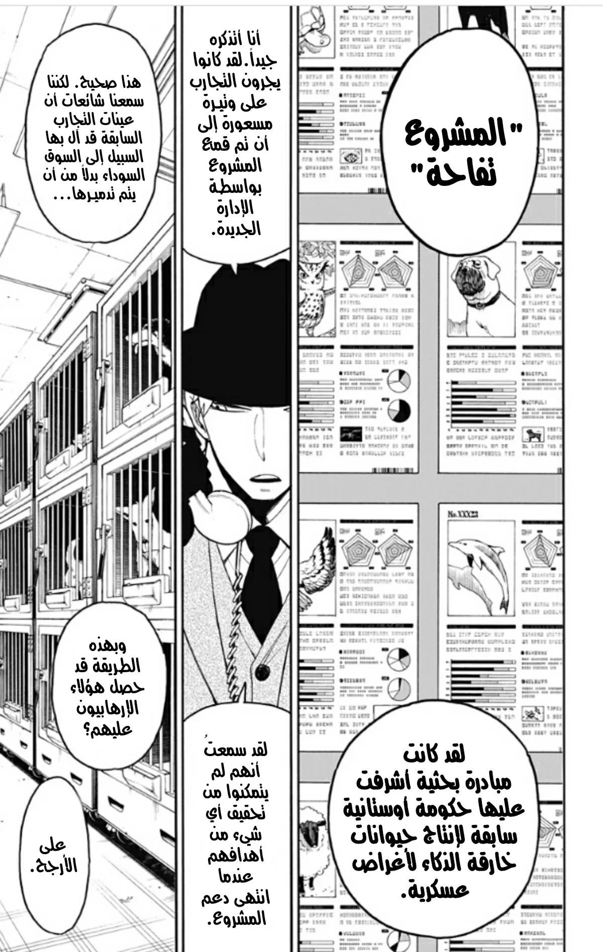 Read SPY×FAMILY AR Manga Online