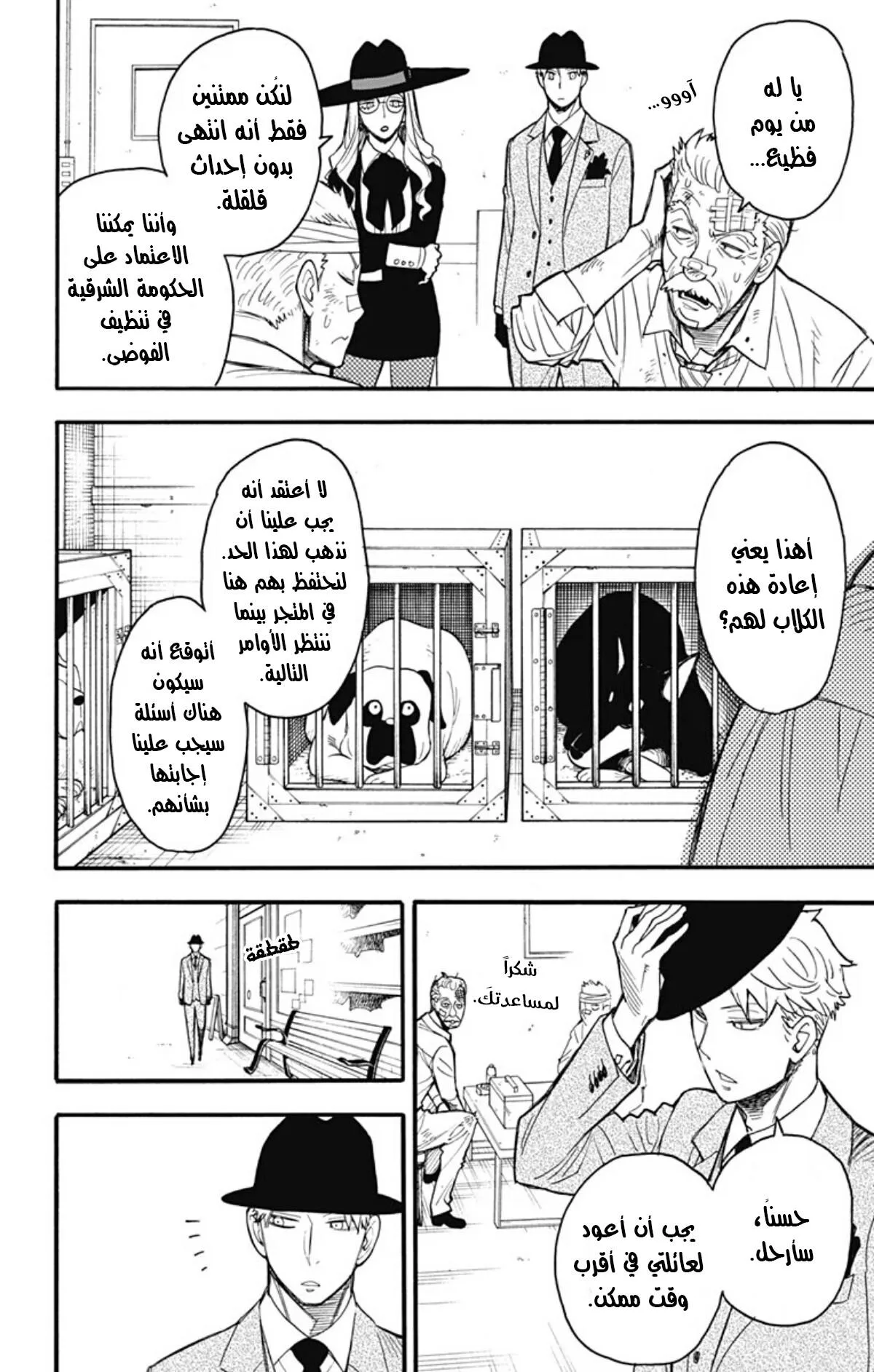 Read SPY×FAMILY AR Manga Online