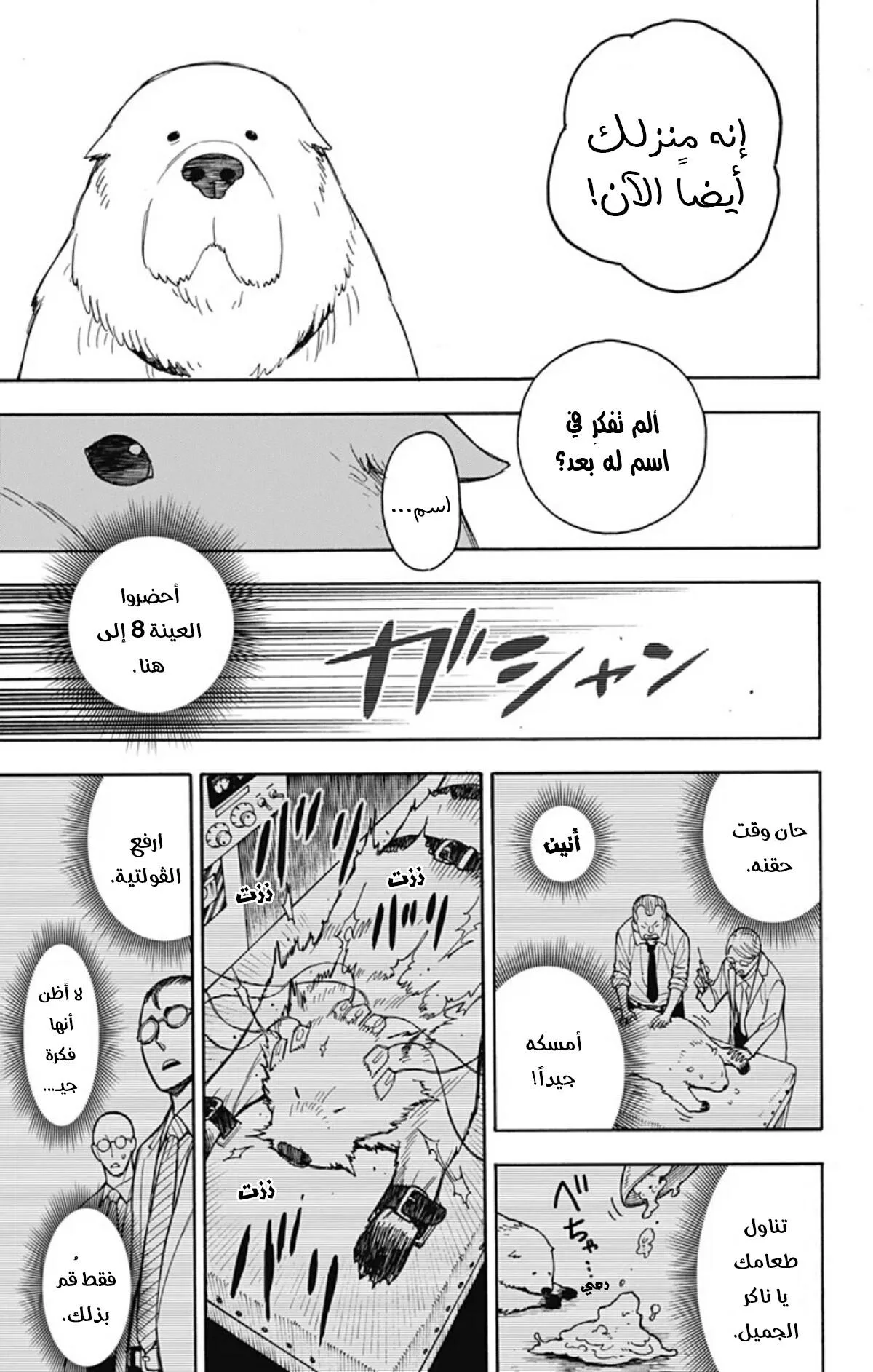 Read SPY×FAMILY AR Manga Online