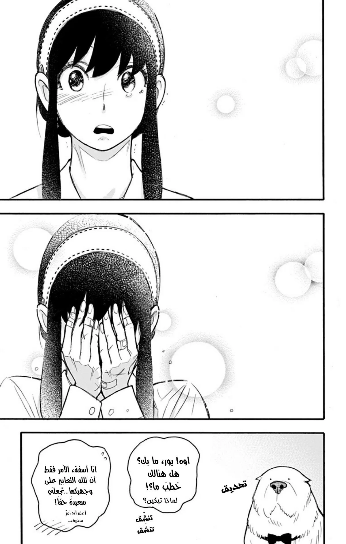 Read SPY×FAMILY AR Manga Online
