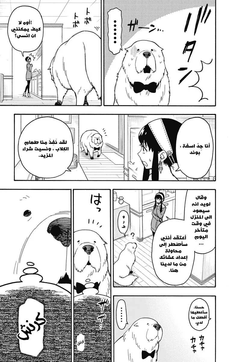 Read SPY×FAMILY AR Manga Online
