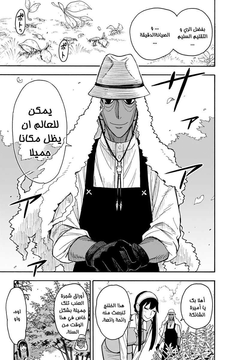 Read SPY×FAMILY AR Manga Online