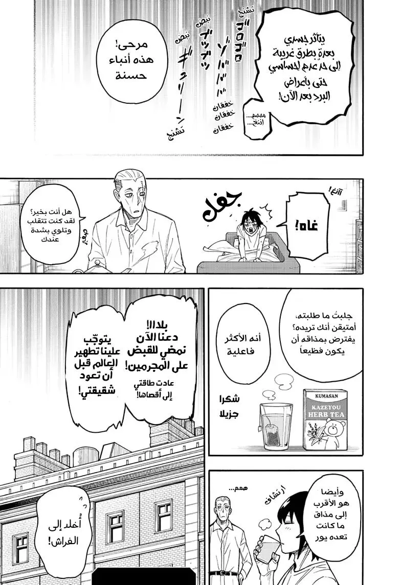 Read SPY×FAMILY AR Manga Online