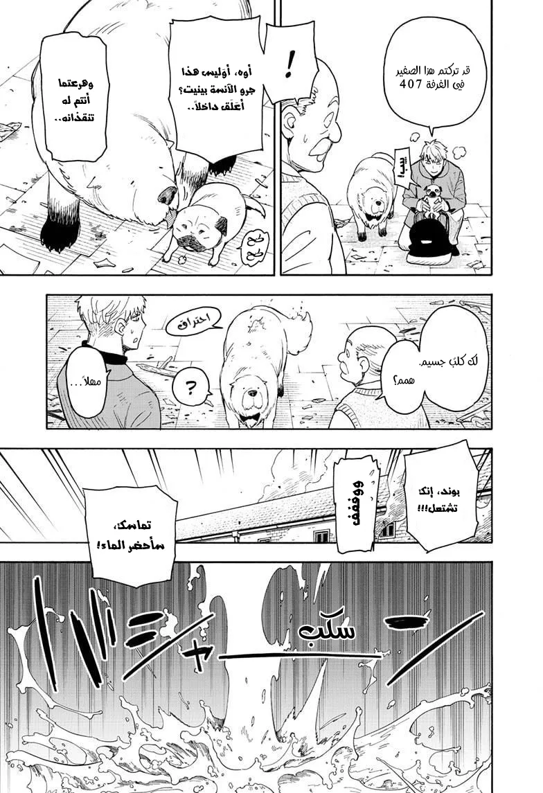 Read SPY×FAMILY AR Manga Online