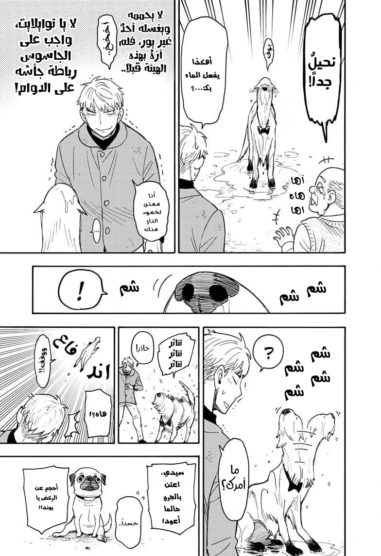 Read SPY×FAMILY AR Manga Online