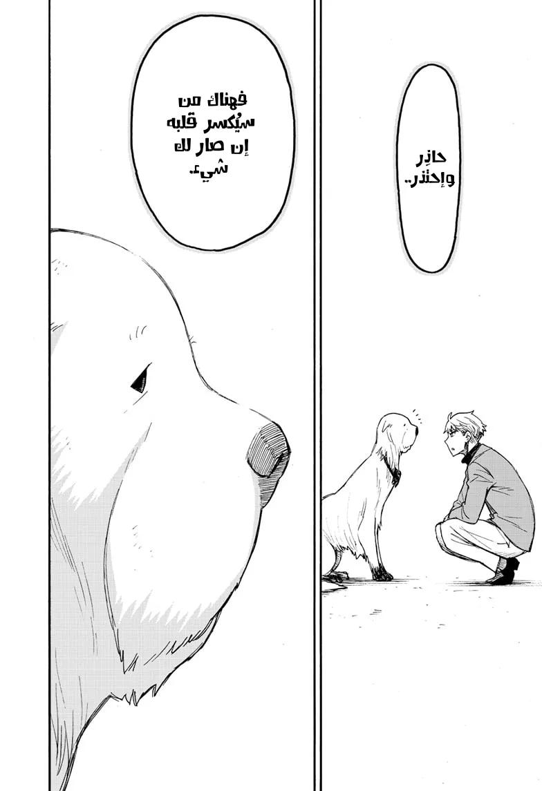 Read SPY×FAMILY AR Manga Online
