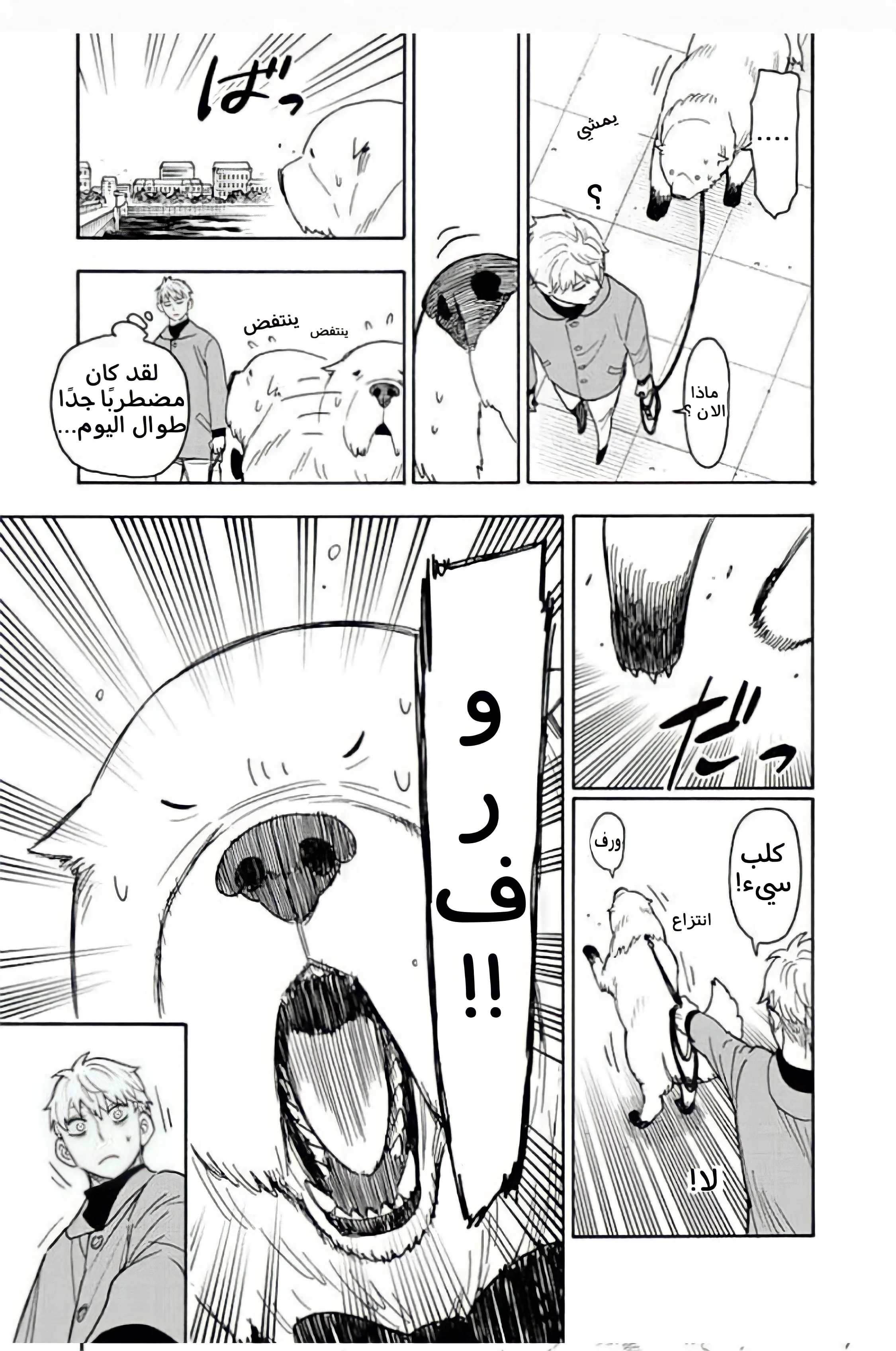 Read SPY×FAMILY AR Manga Online