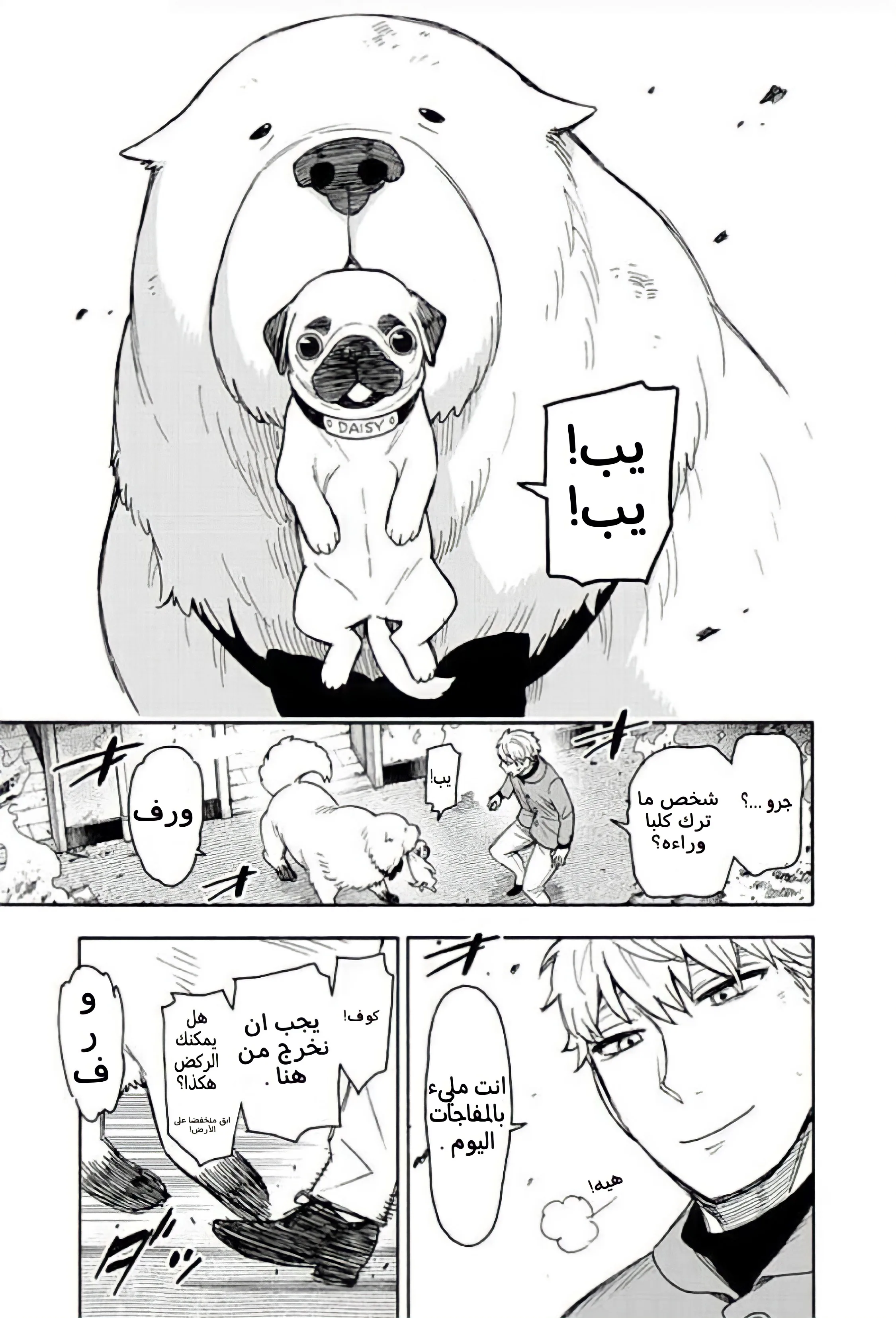 Read SPY×FAMILY AR Manga Online