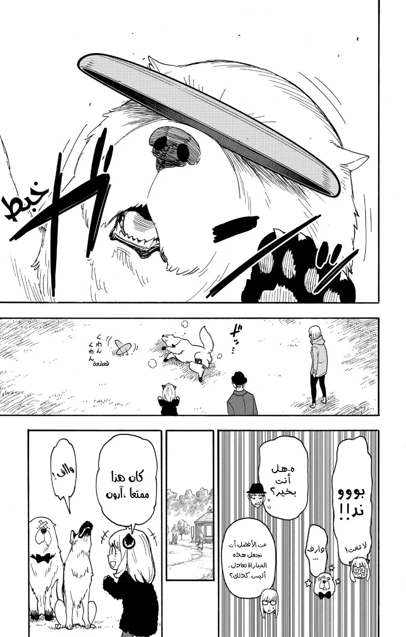 Read SPY×FAMILY AR Manga Online