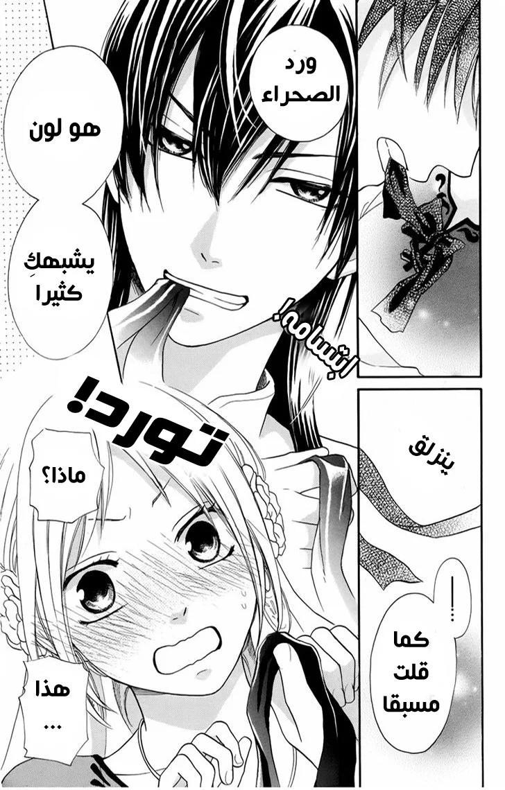 Read Sabaku no Harem AR Manga Online