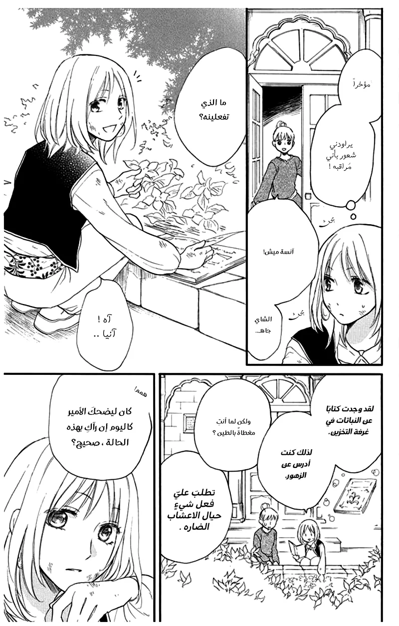Read Sabaku no Harem AR Manga Online
