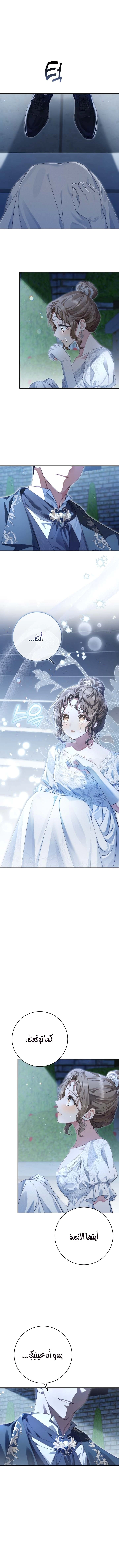 Read Sonette of the Dawn AR Manga Online