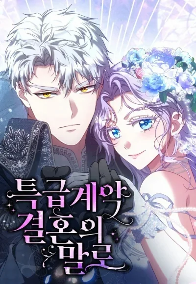 Read Special contract marriage AR Manga Online