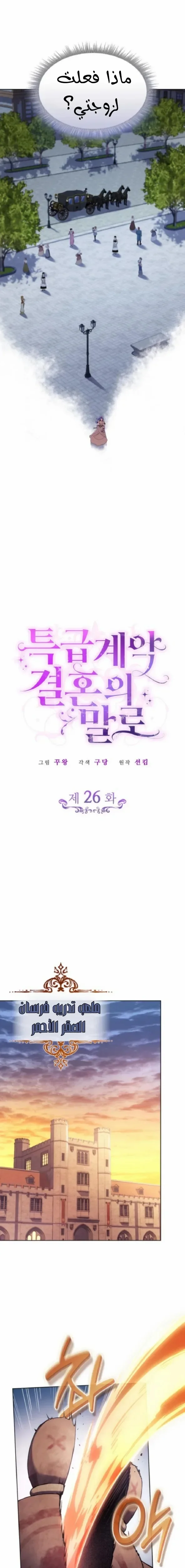 Read Special contract marriage AR Manga Online