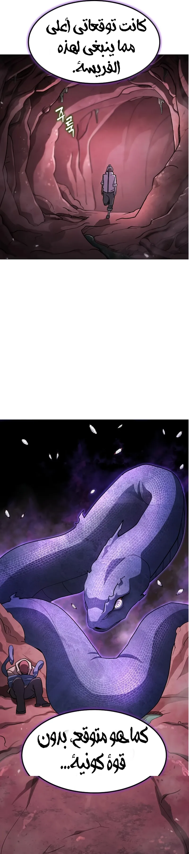 Read Star of Zenith AR Manga Online