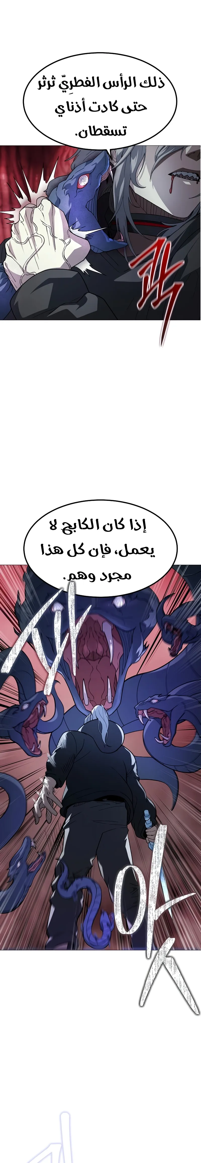 Read Star of Zenith AR Manga Online