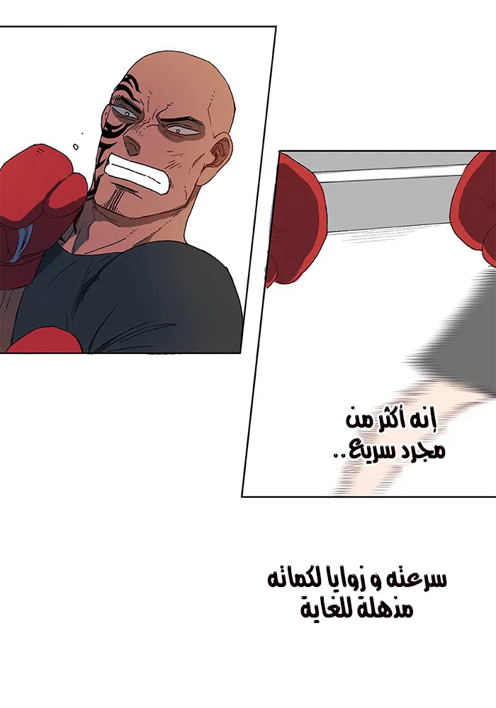 Read The Boxer AR Manga Online
