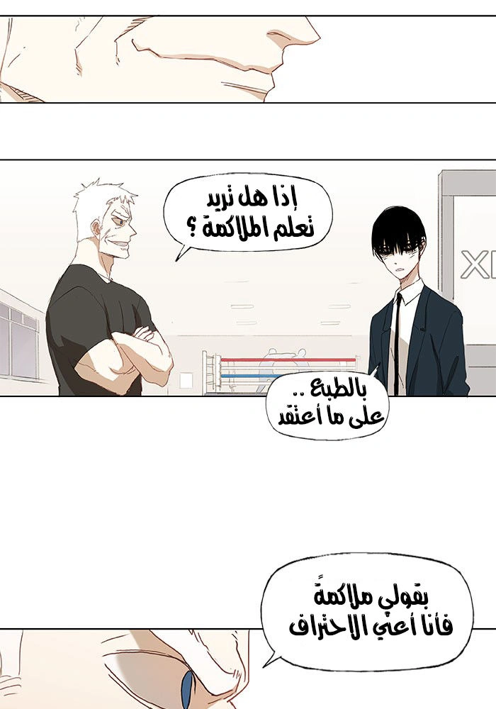Read The Boxer AR Manga Online