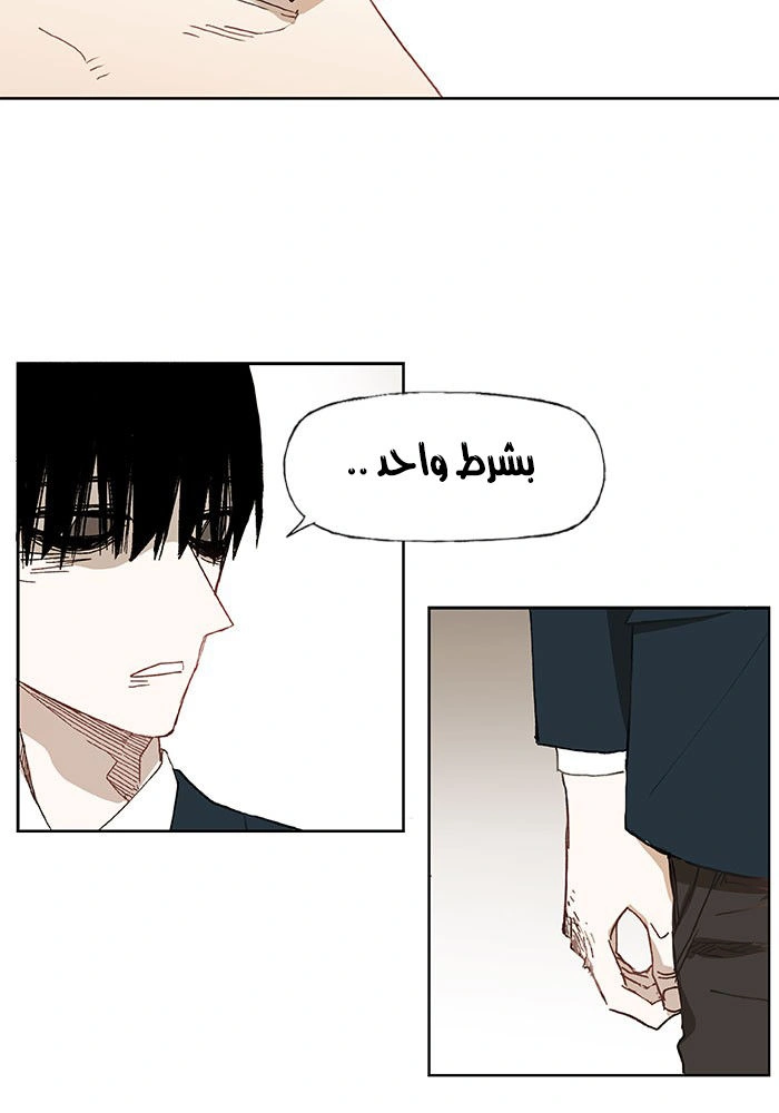 Read The Boxer AR Manga Online