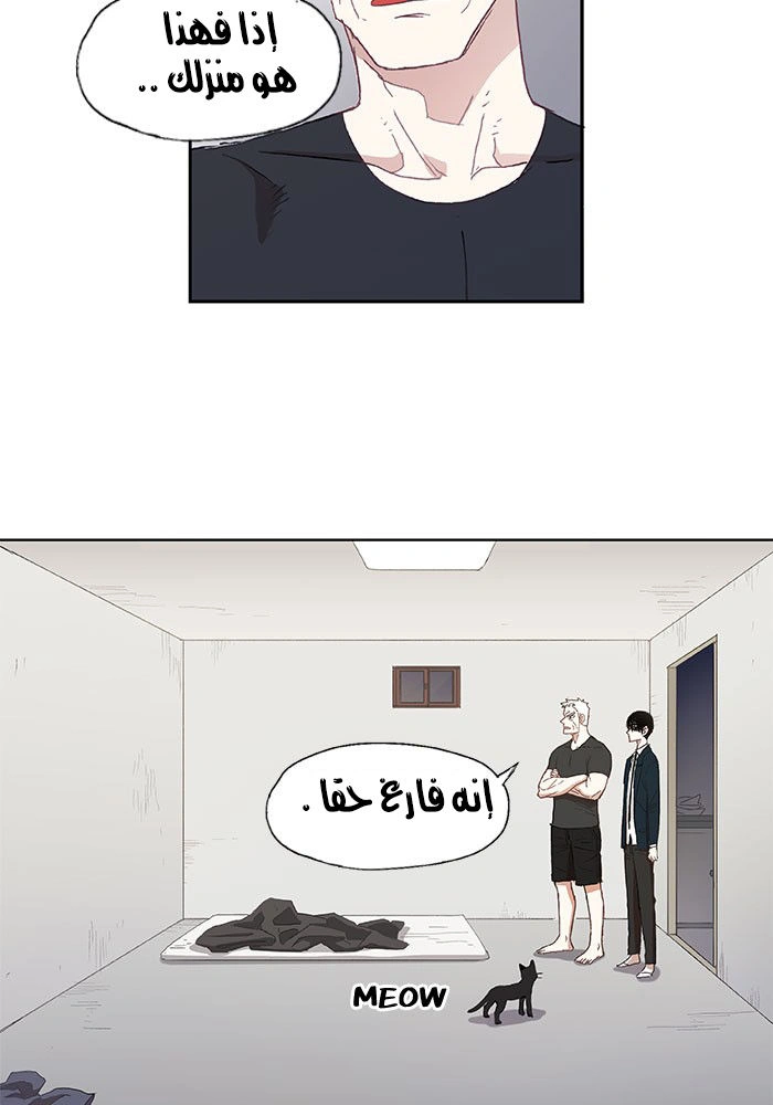 Read The Boxer AR Manga Online