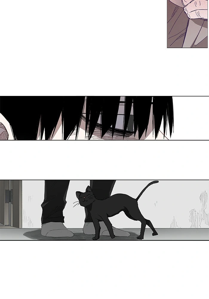 Read The Boxer AR Manga Online