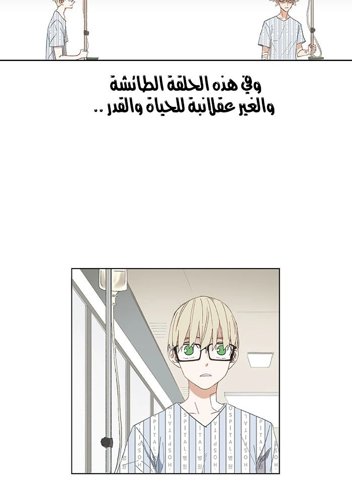Read The Boxer AR Manga Online