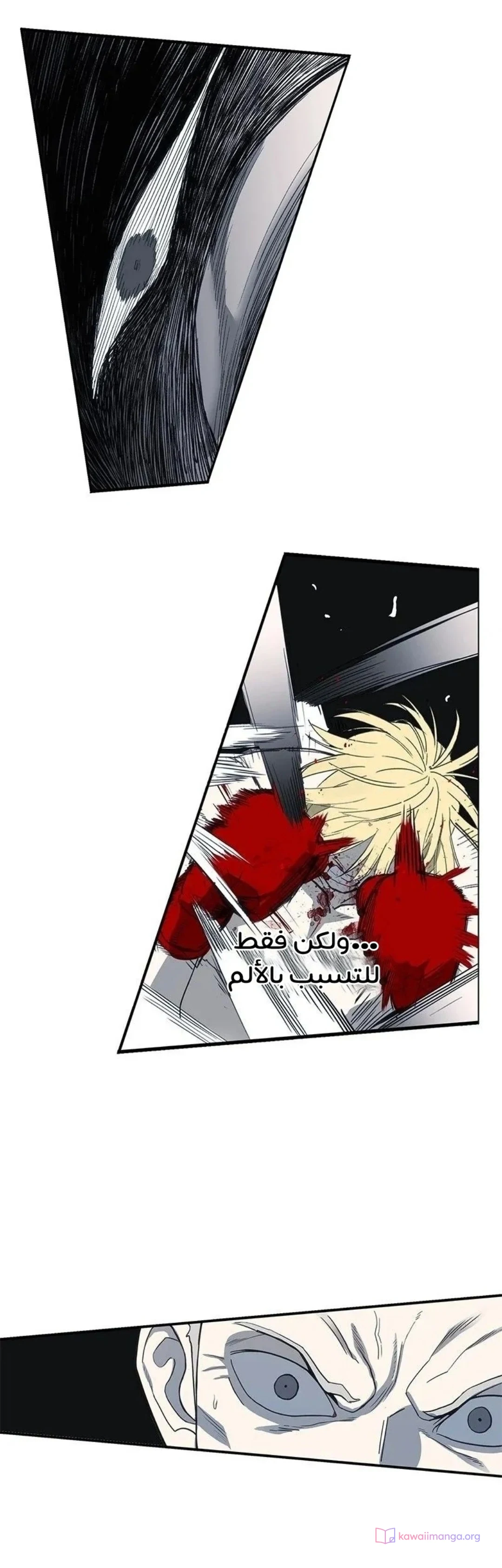 Read The Boxer AR Manga Online