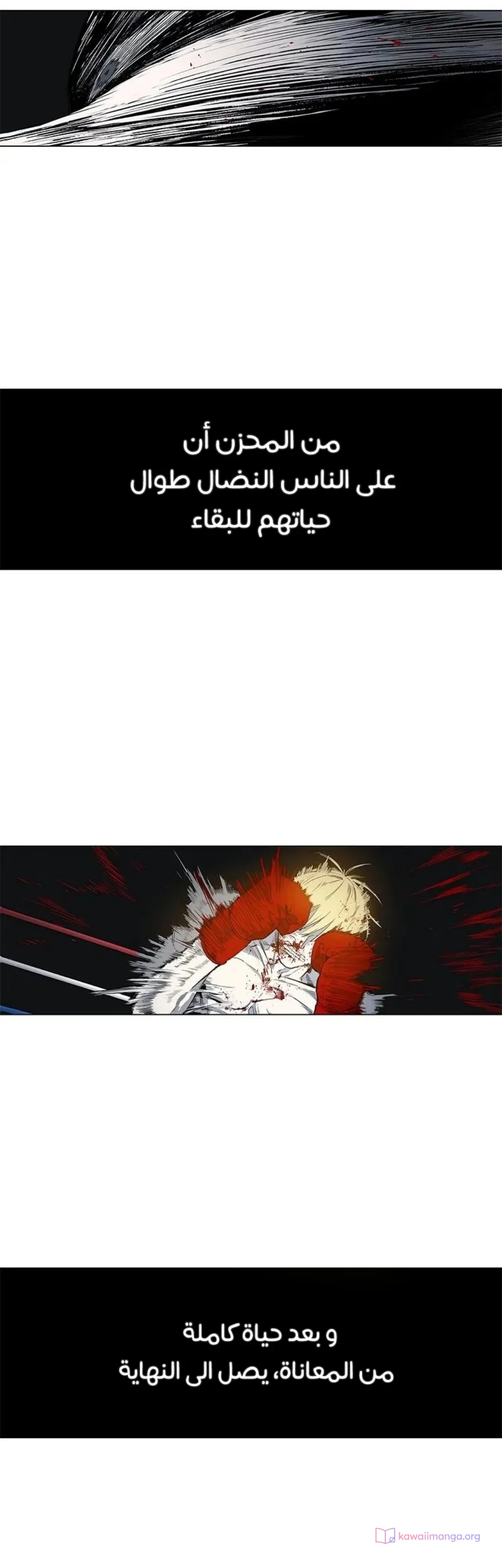 Read The Boxer AR Manga Online
