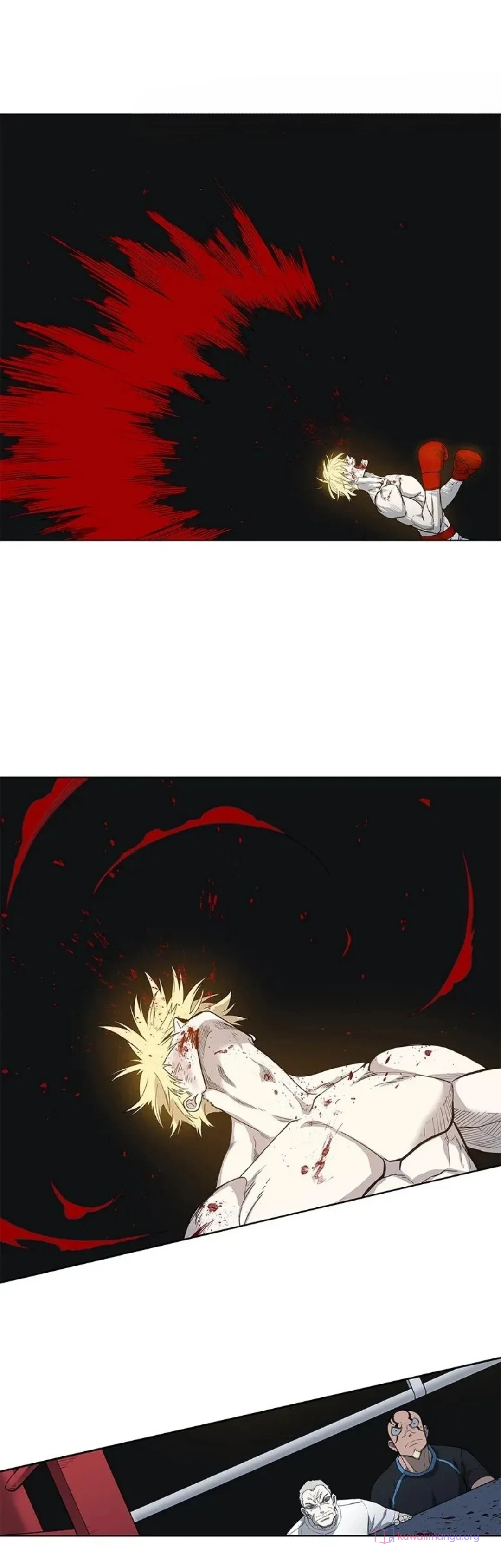 Read The Boxer AR Manga Online