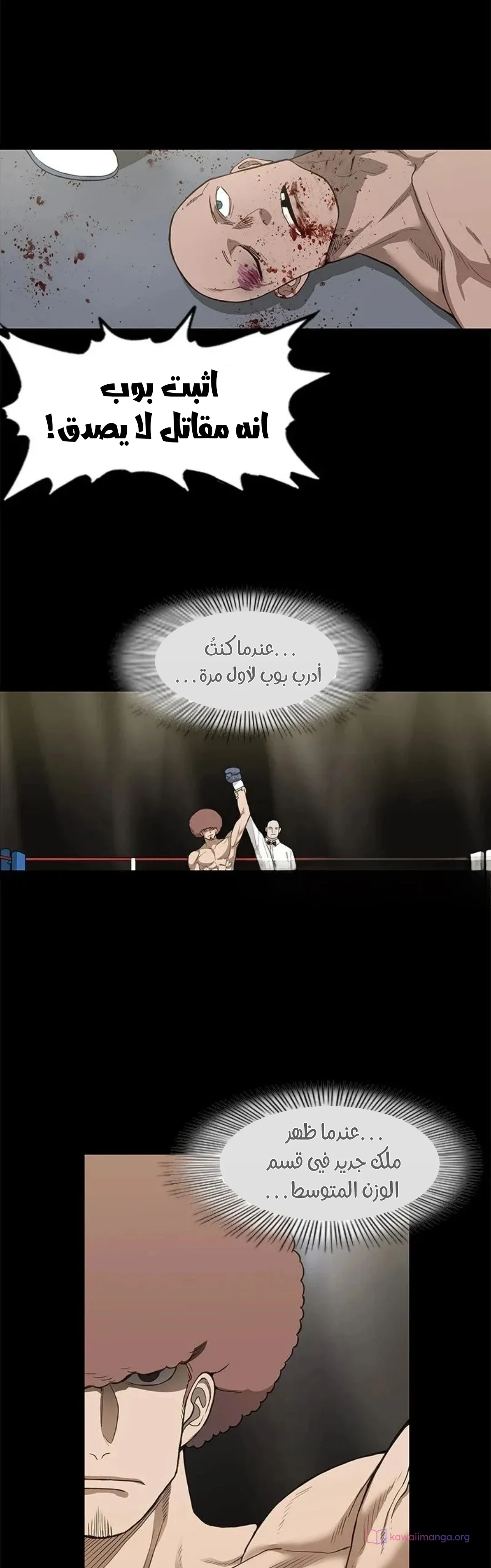Read The Boxer AR Manga Online
