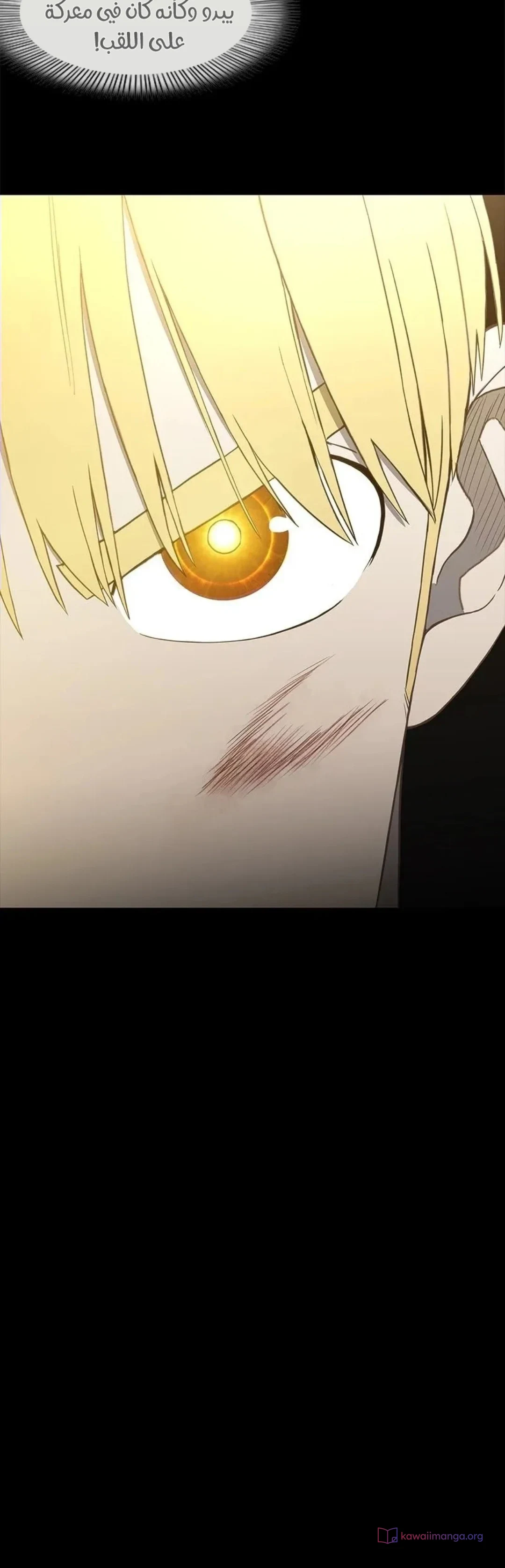 Read The Boxer AR Manga Online