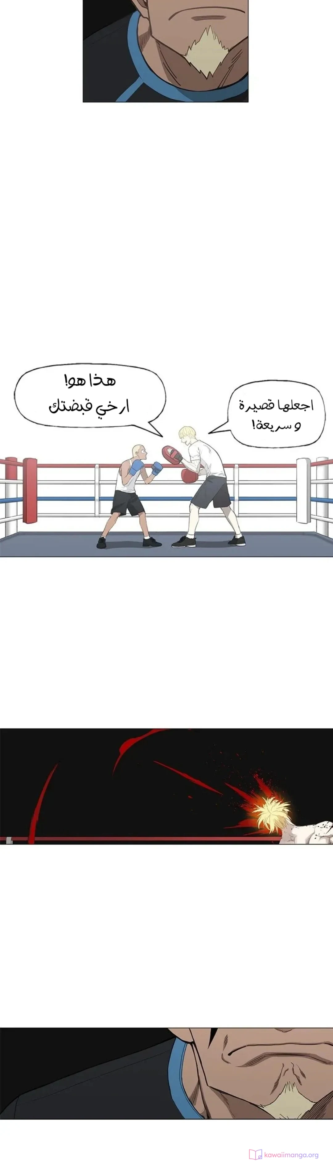 Read The Boxer AR Manga Online