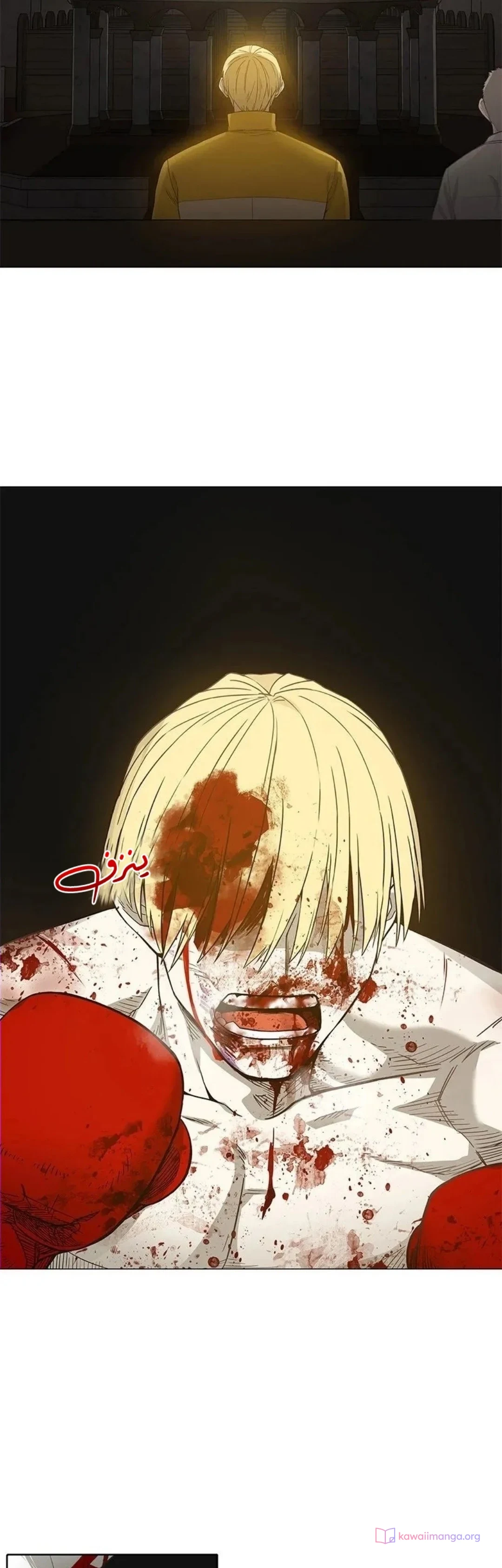 Read The Boxer AR Manga Online