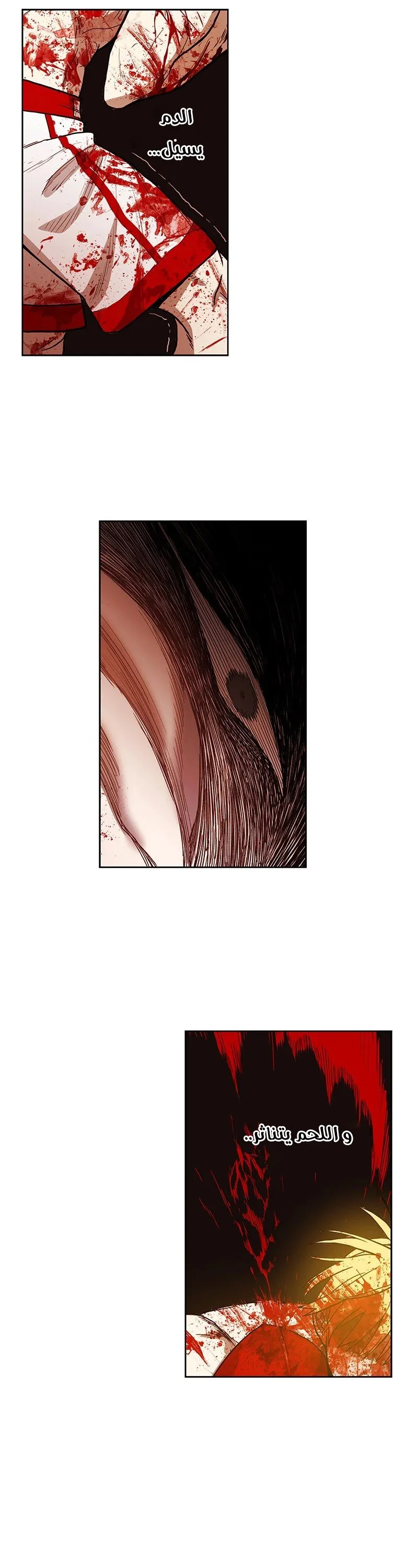 Read The Boxer AR Manga Online