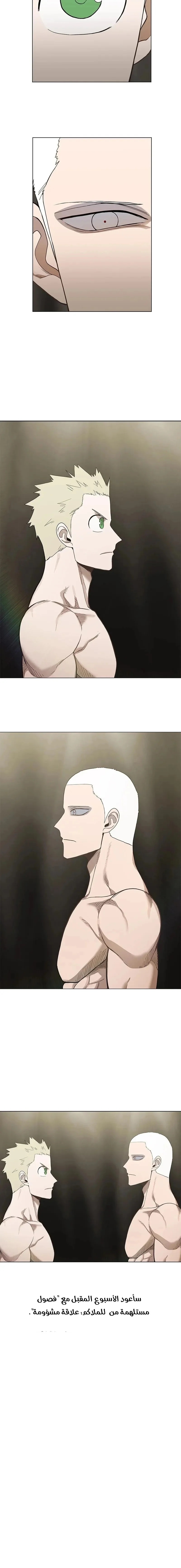 Read The Boxer AR Manga Online