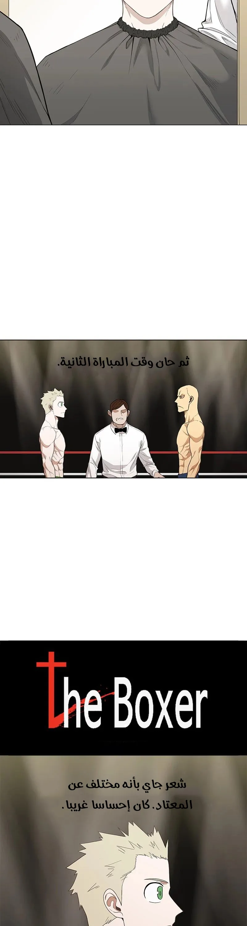 Read The Boxer AR Manga Online