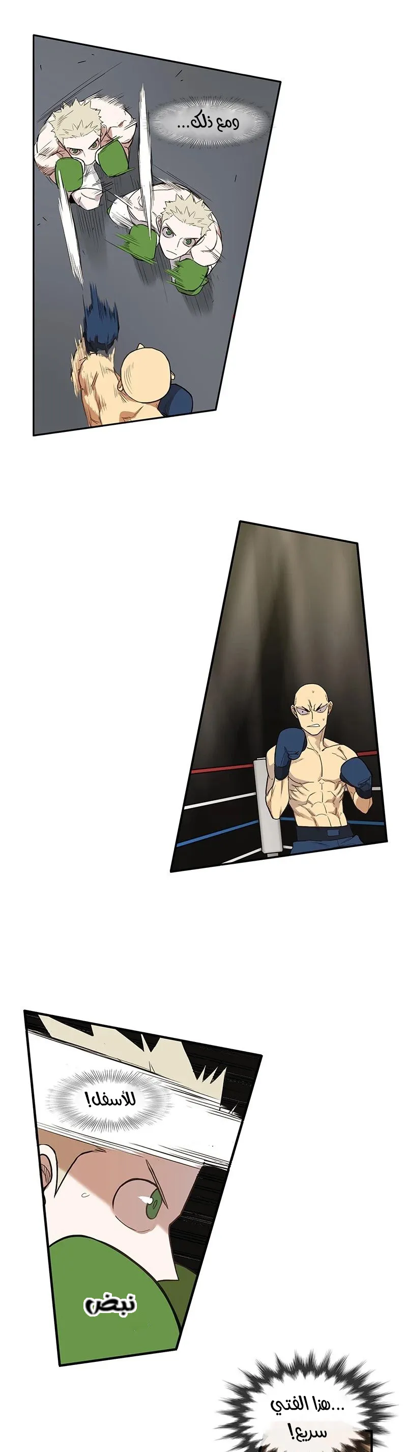 Read The Boxer AR Manga Online