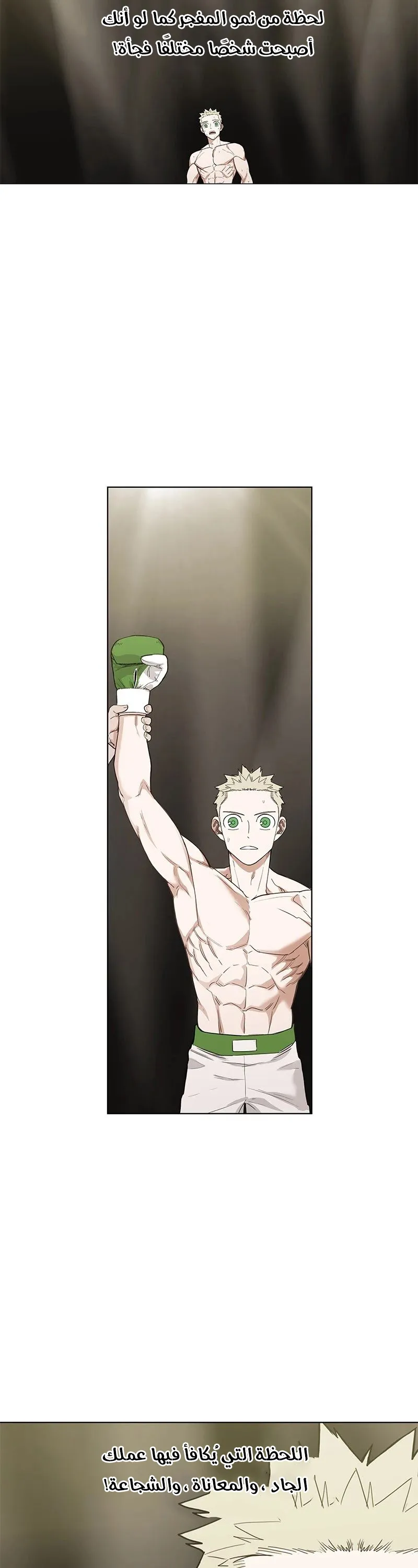 Read The Boxer AR Manga Online