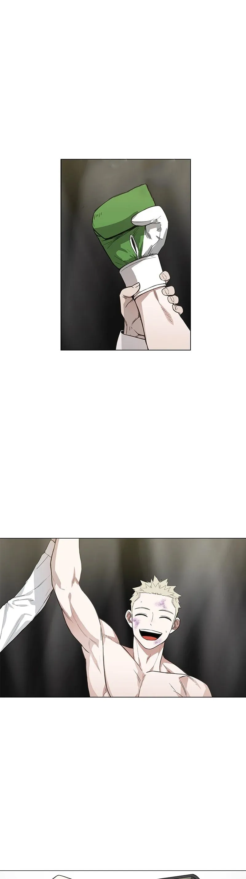 Read The Boxer AR Manga Online