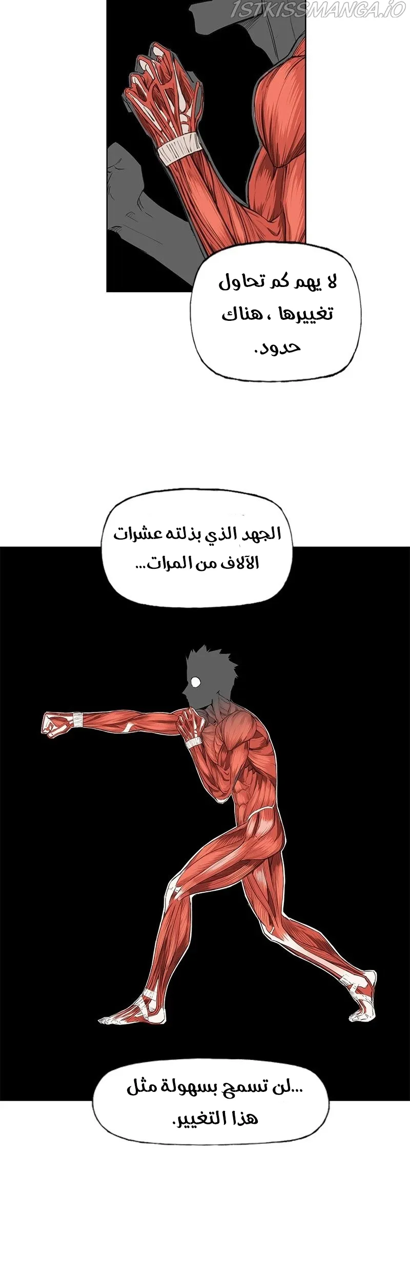 Read The Boxer AR Manga Online