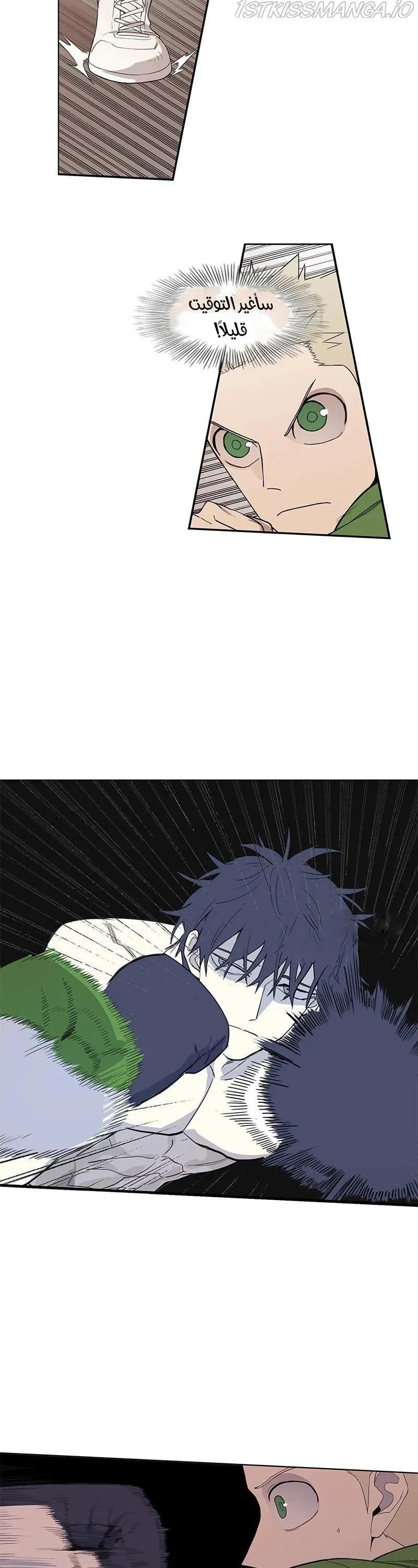 Read The Boxer AR Manga Online