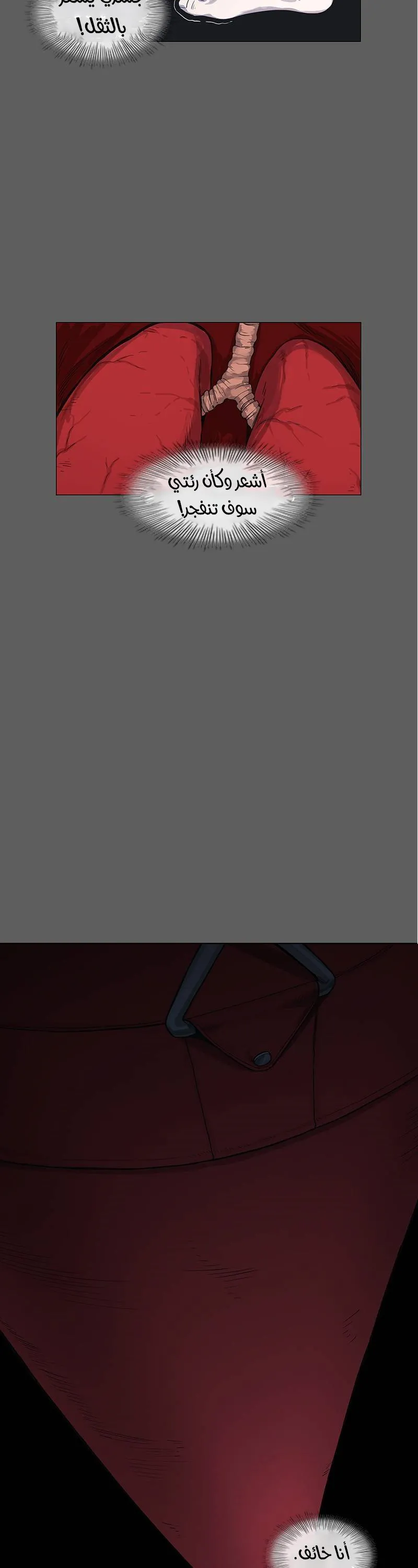 Read The Boxer AR Manga Online
