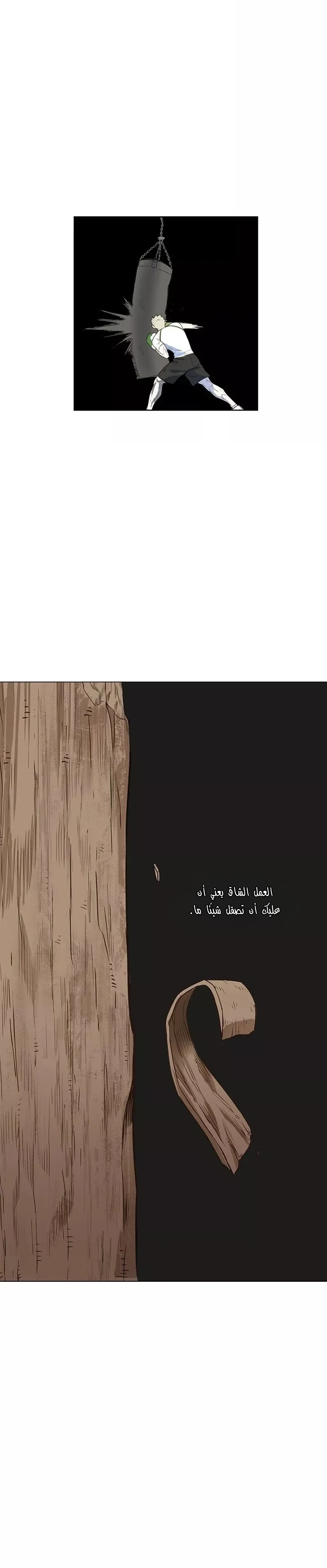 Read The Boxer AR Manga Online