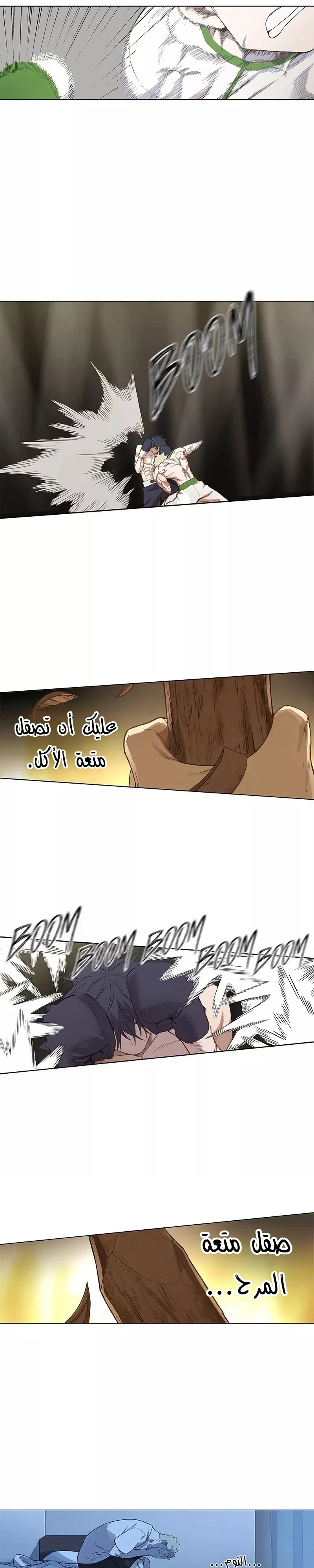 Read The Boxer AR Manga Online