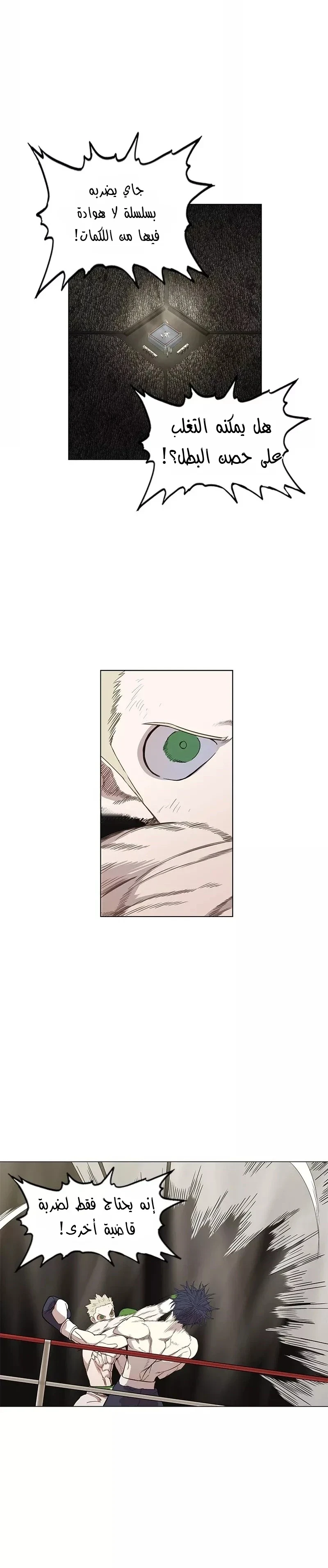 Read The Boxer AR Manga Online