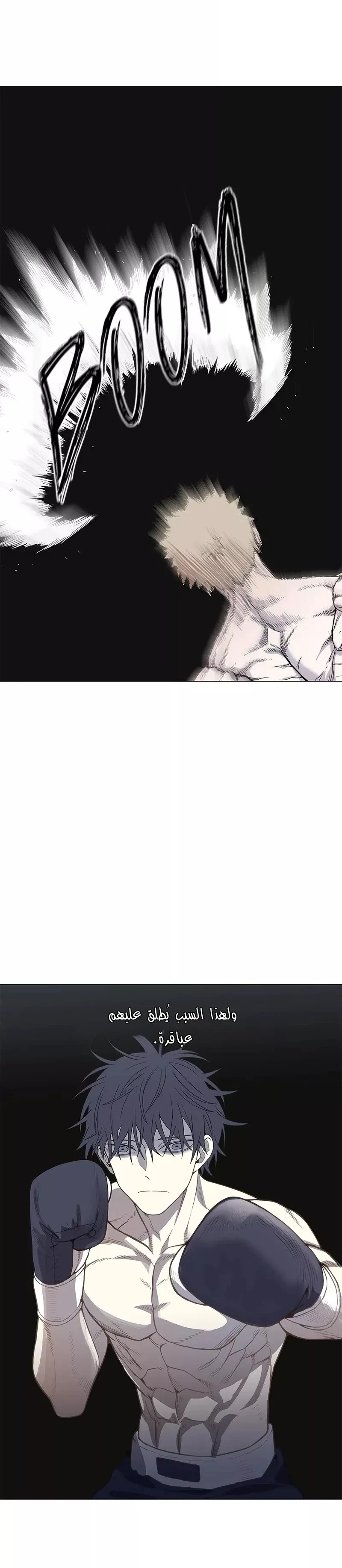 Read The Boxer AR Manga Online