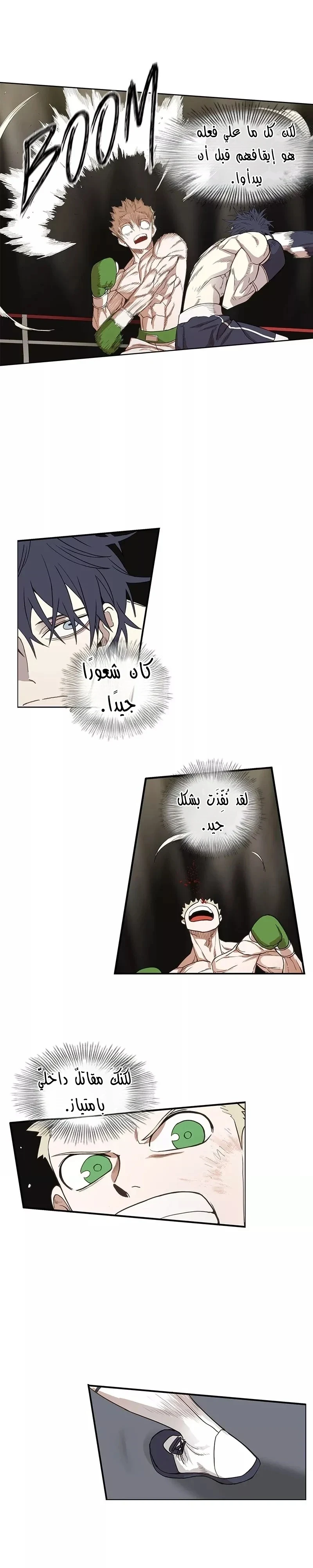 Read The Boxer AR Manga Online