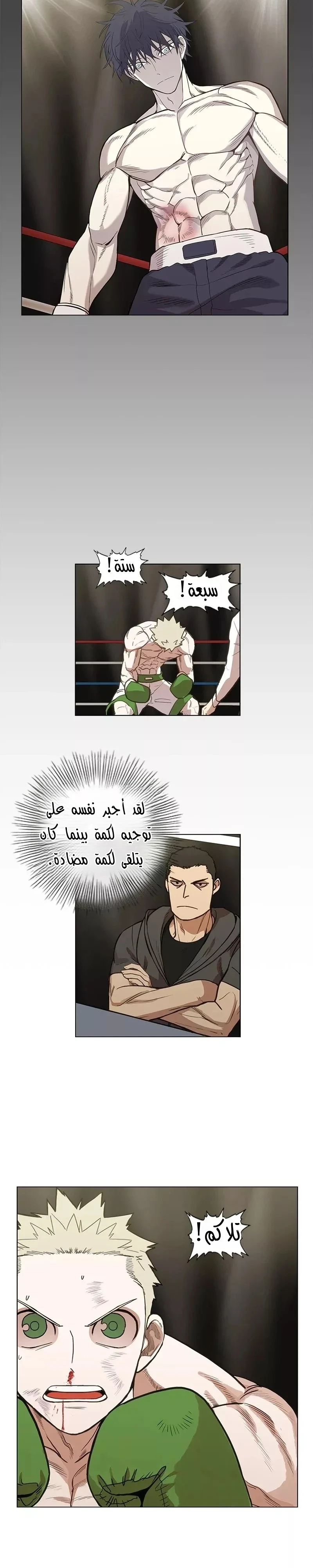 Read The Boxer AR Manga Online