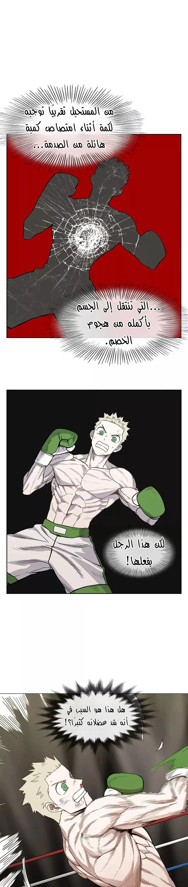 Read The Boxer AR Manga Online